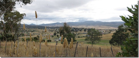 Susan Mara, view from Bonorong, Hobart